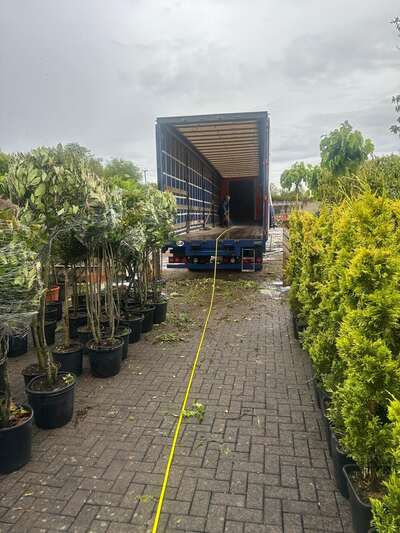 Trees and shrubs being loaded into a curtain-side trailer