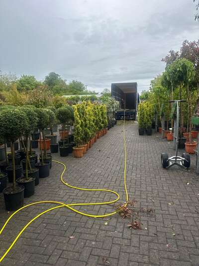 Topiary and specimen plants waiting at a loading bay