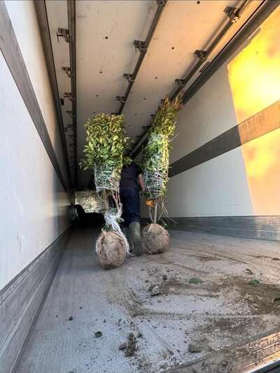 The inside of a loaded plant trailer