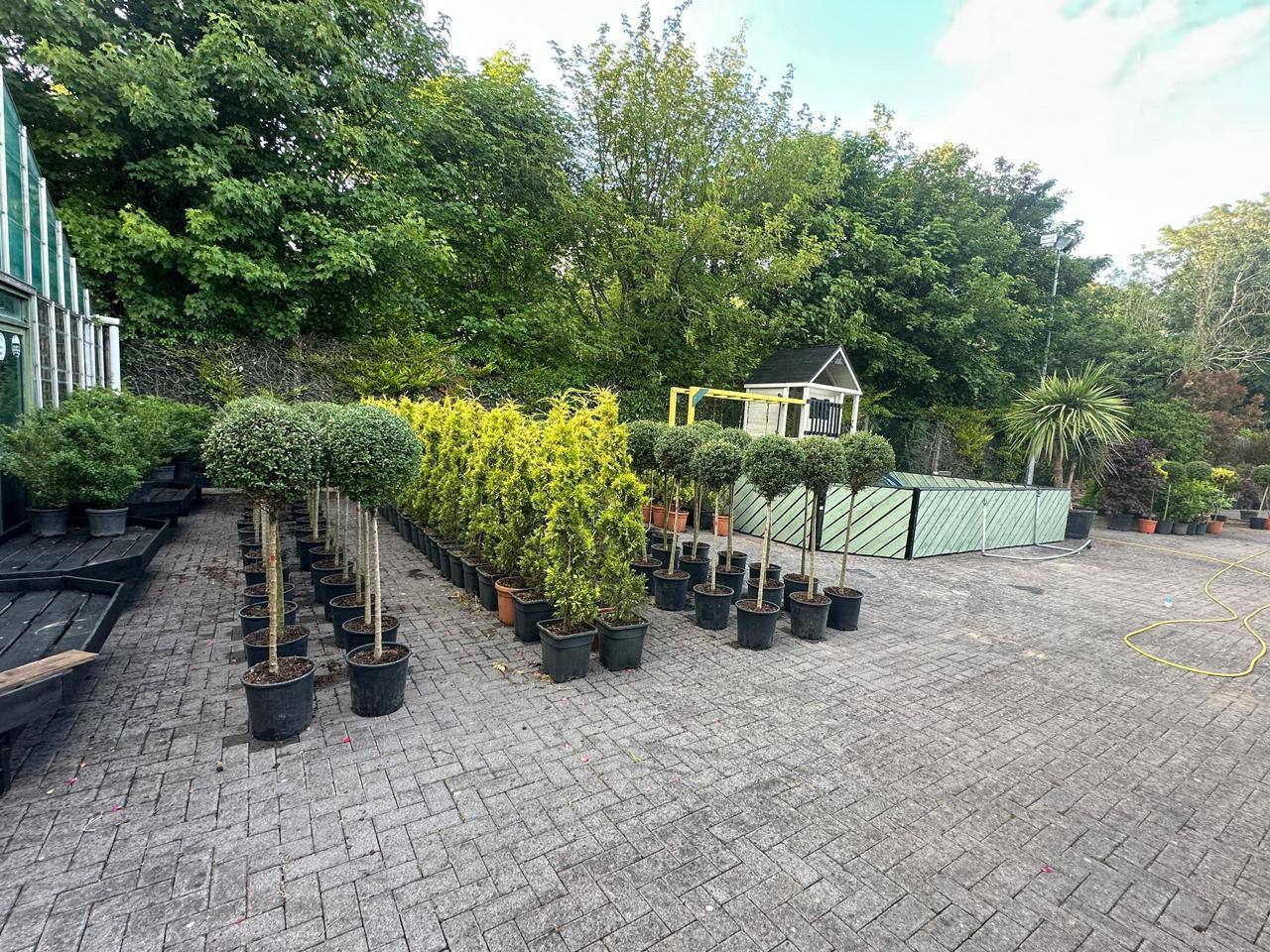 Mediterranean & Topiary at Italy Gardens & Nursery